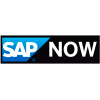 sap-now-quantica-eletrica